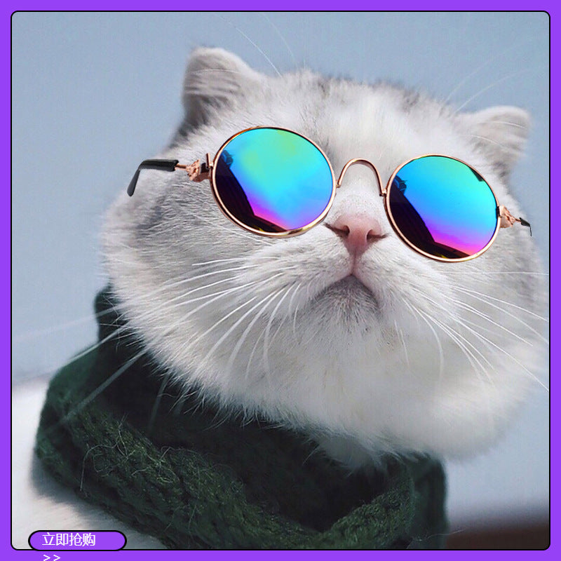 Wholesale Funny pet supplies cats and dogs sunglasses